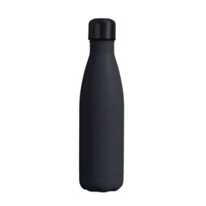 Stainless Steel Water Bottles
